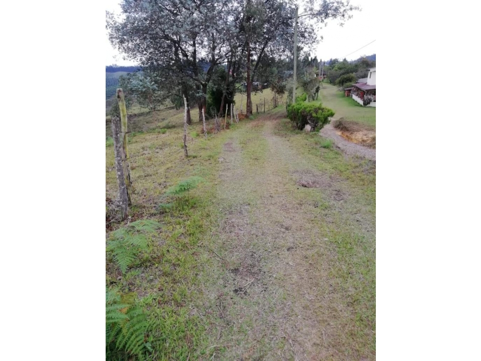 VENDO LOTE PARA PARCELAR EN VEREDA HOJAS ANCHAS DE GUARNE ANTIOQUIA — foto 4