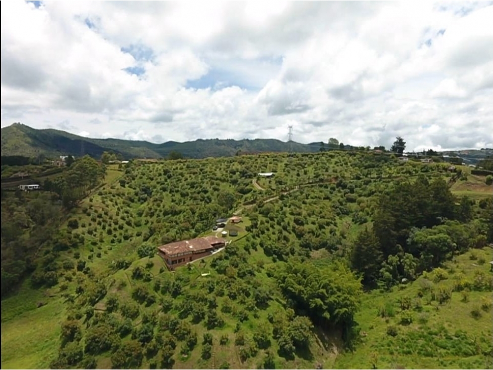 VENDO FINCA DE 62.700 m² PARA PARCELAR SAN VICENTE FERRER ANTIOQUIA - 4