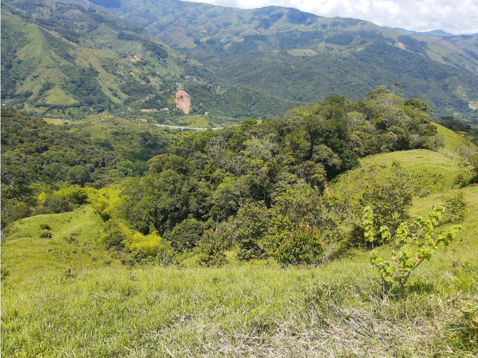VENTA DE LOTE CON CASA EN BARBOSA. - 4