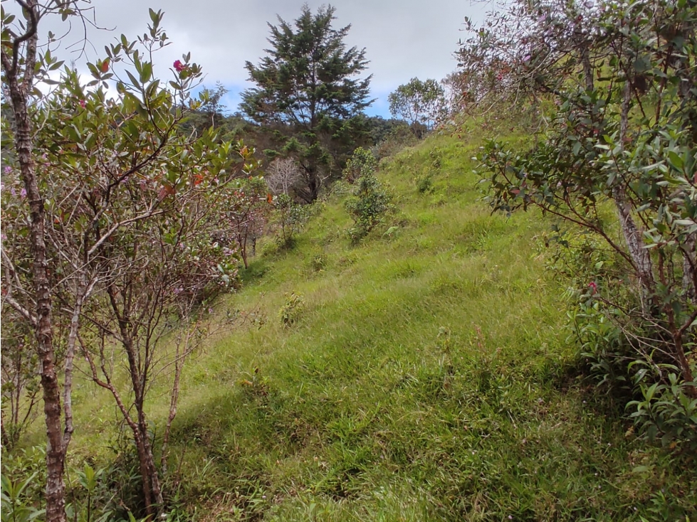 VENDO LOTE EN GUATAPE PARA PROYECTO HOTELERO O CASAS CAMPESTRES — foto 4