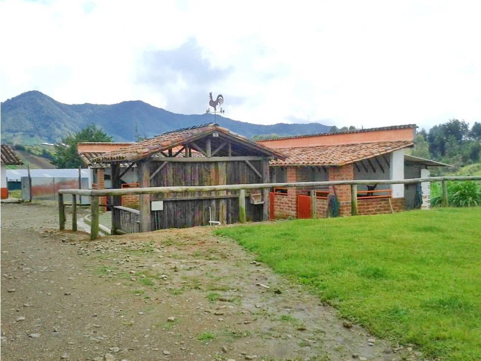 VENDO FINCA MARINILLA ANTIOQUIA 8HA SEMBRADOS DE AGUACATE — foto 4