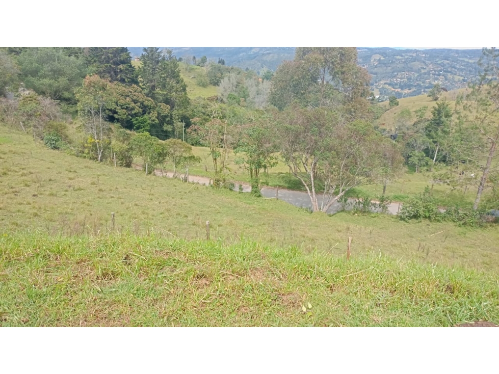 VENDO LOTE EN GUARNE VEREDA LA MEJIA — foto 4