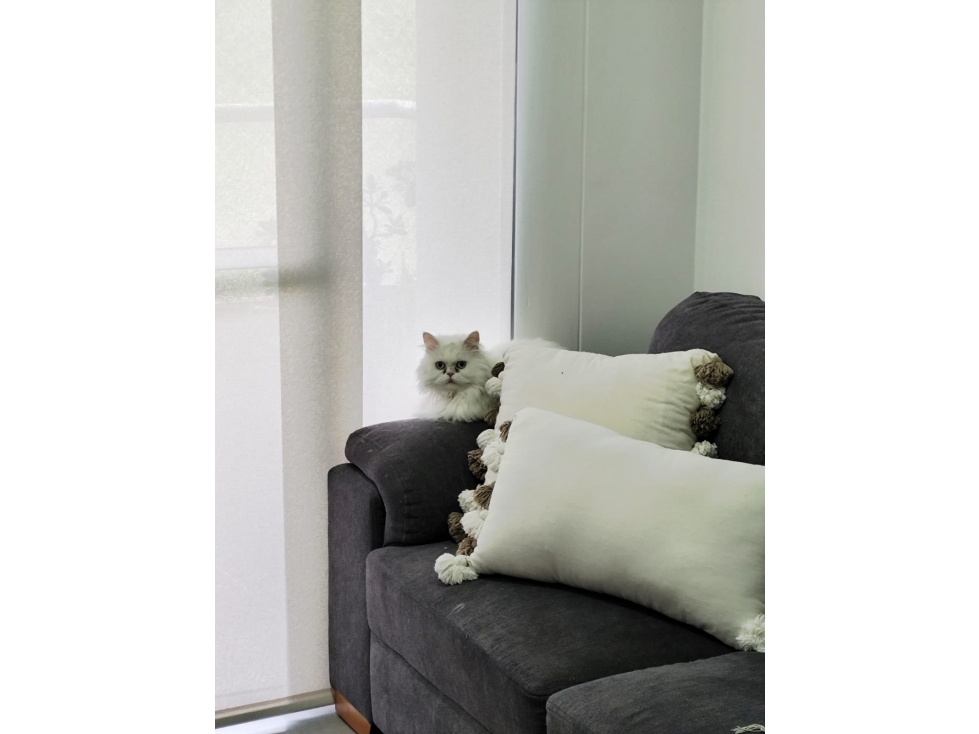 VENTA APARTAMENTO CAMINO VERDE ENVIGADO — foto 4