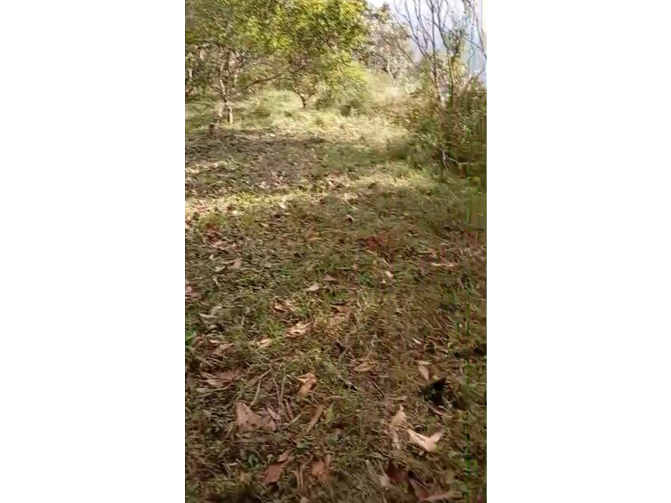 7 LOTES EN VENTA EN COPACABANA ANTIOQUIA — foto 4