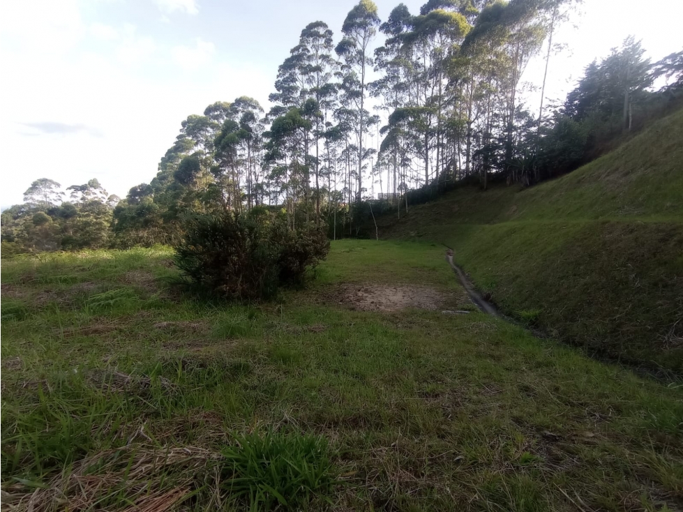 LOTE EN VENTA VEREDA ALTO DE LA COMPAÑÍA, SAN VICENTE FERRER, ANT. — foto 4