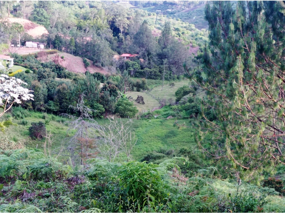 LOTE EN VENTA VEREDA ALTO DE LA COMPAÑÍA, SAN VICENTE FERRER. — foto 4