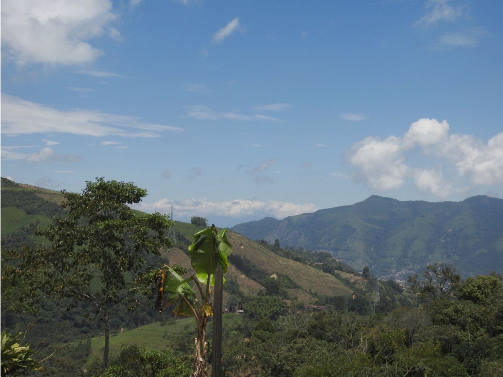 VENTA DE FINCA EN CALDAS. — foto 4