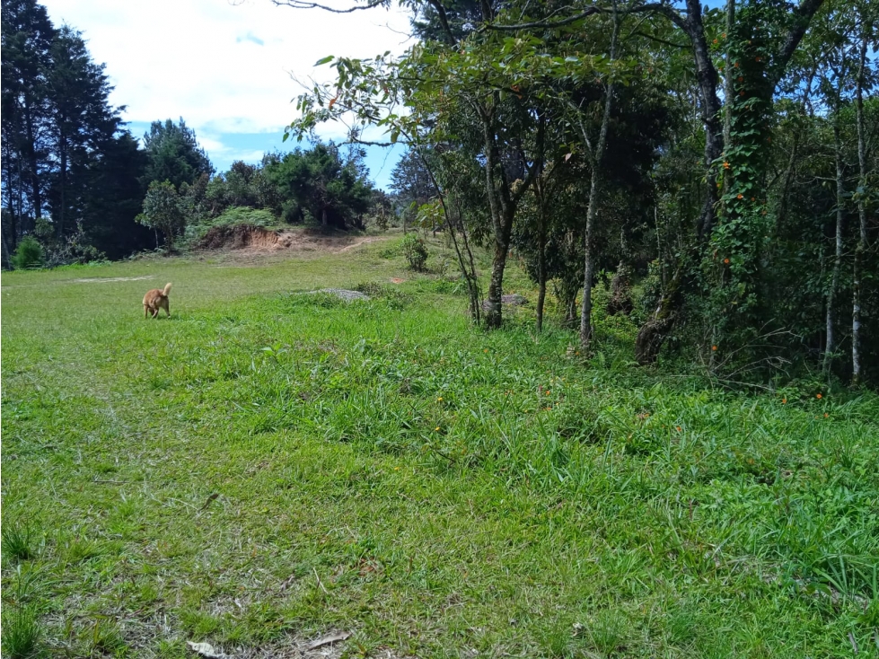 VENDO LOTE EN GUARNE — foto 4