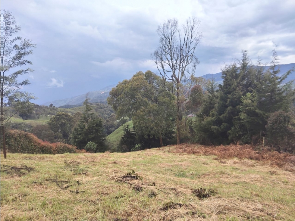 VENTA DE LOTE EN SAN FELIX VEREDA CUARTAS A 40 MM DE MEDELLIN — foto 4