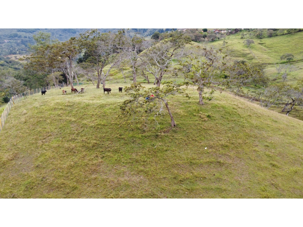 SE VENDE LOTE EN COPACABANA VEREDA ZARZAL PARTE ALTA — foto 4