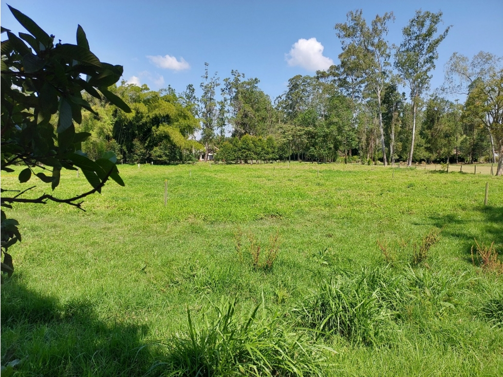 LOTE CAMPESTRE 4.855.98 m² VEGAS DE GUADALCANAL Llanogrande-Rionegro