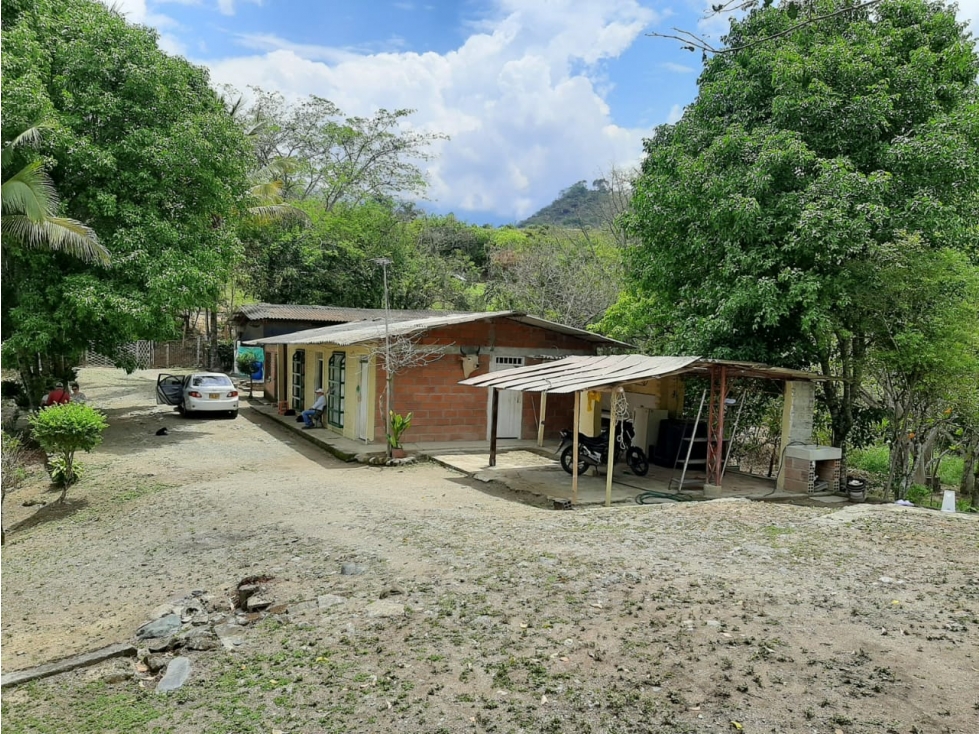 VENTA DE PREDIO EN SAN JERONIMO ANTIOQUIA - 3