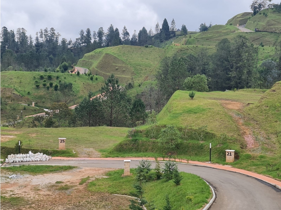 Lote campestre de 3.260 m² en El Retiro, explanado y rodeado de bosque — foto 4