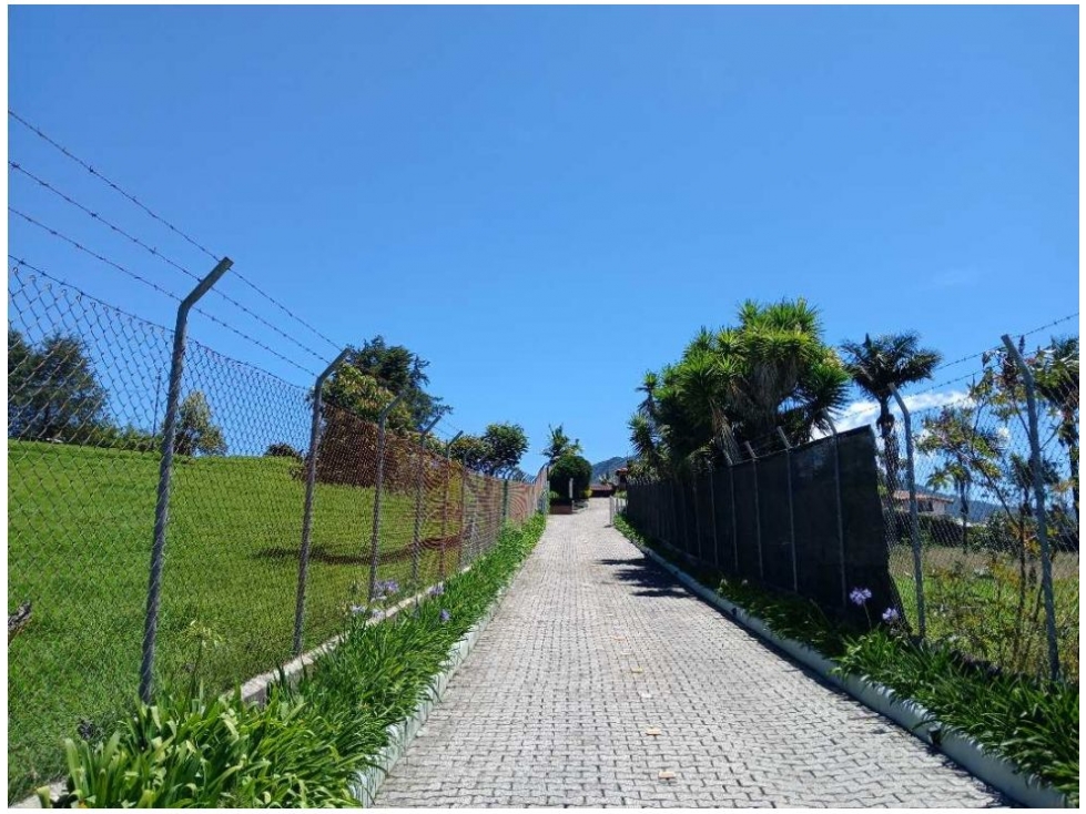 SE VENDE FINCA CABALLISTA EN LA CEJA (CM) - 4