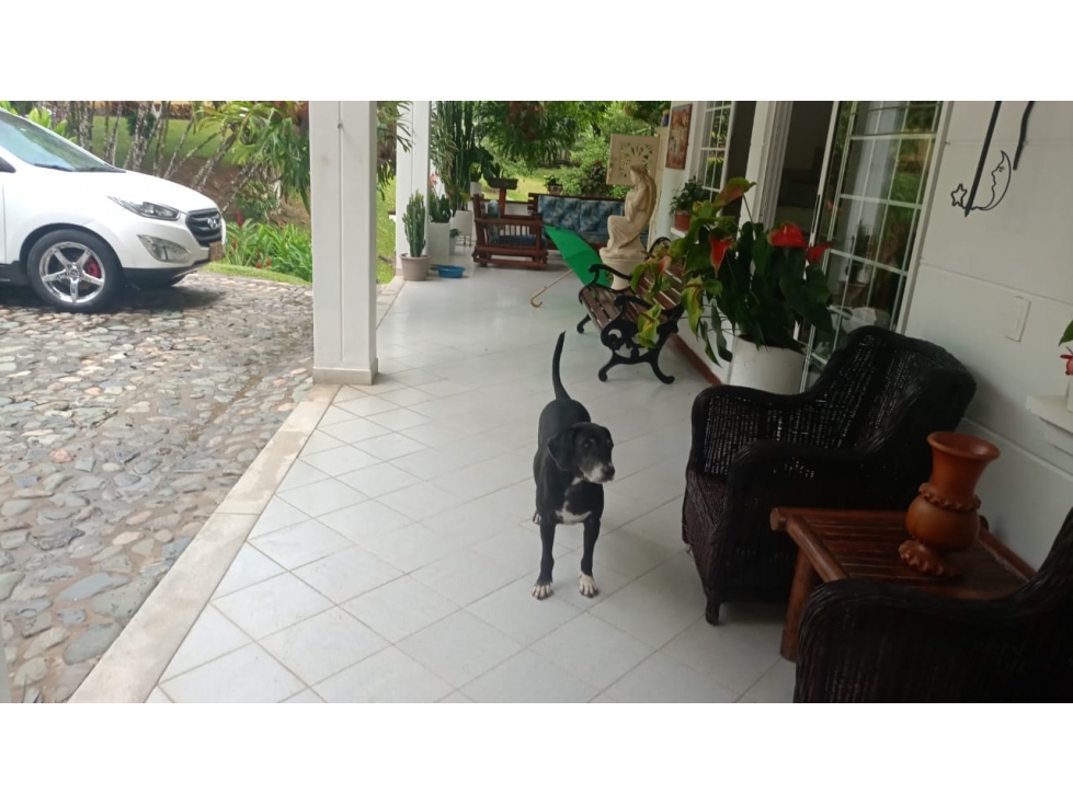 VENDO FINCA EN SAN JERONIMO SECTOR EL HATO — foto 3