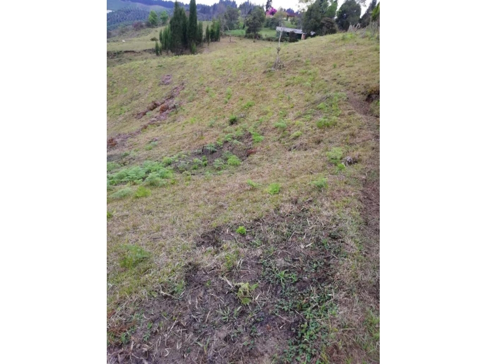 VENDO LOTE PARA PARCELAR EN VEREDA HOJAS ANCHAS DE GUARNE ANTIOQUIA — foto 5