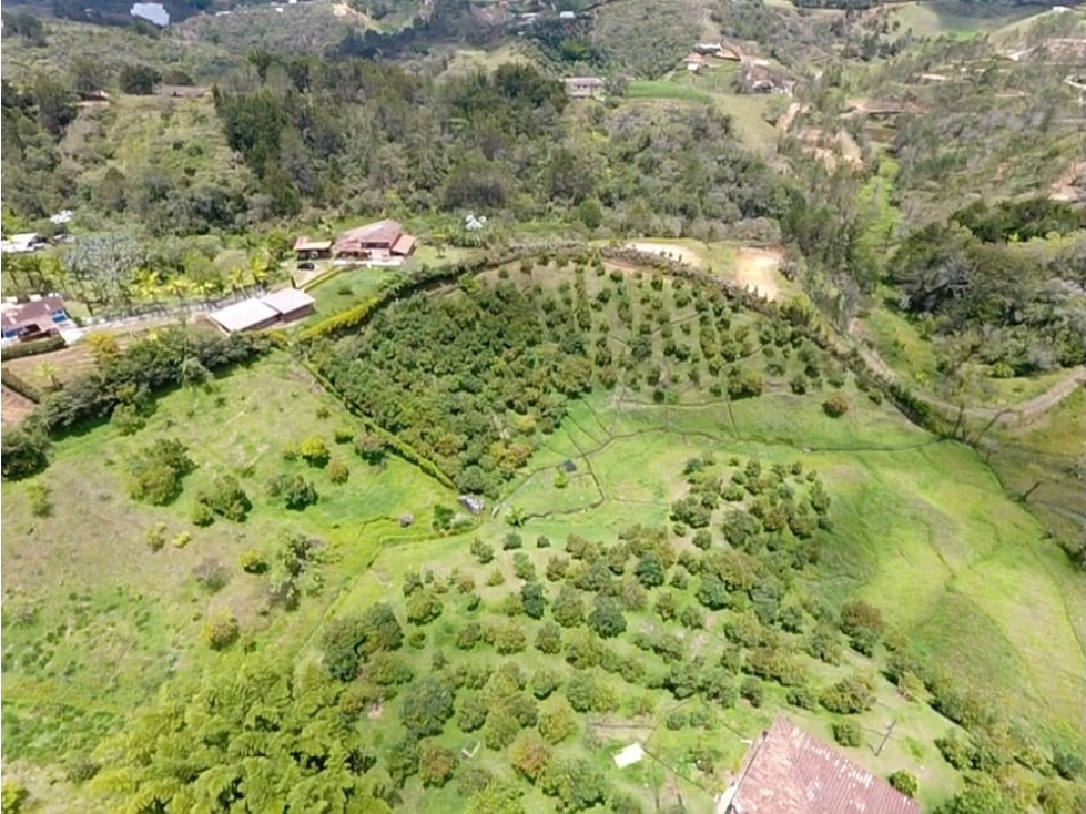 VENDO FINCA DE 62.700 m² PARA PARCELAR SAN VICENTE FERRER ANTIOQUIA - 5