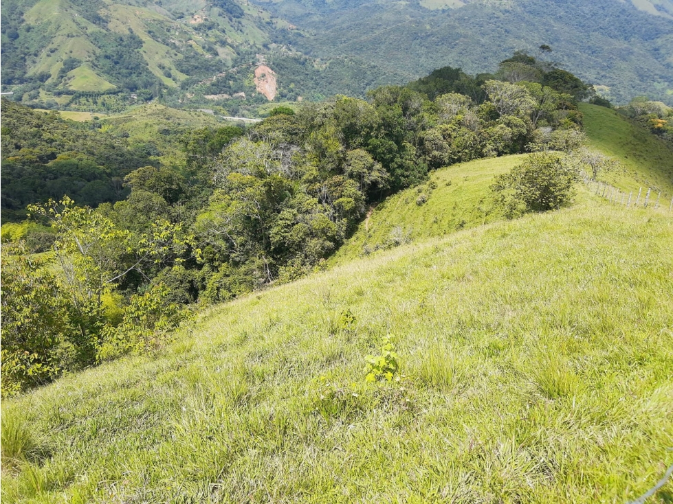 VENTA DE LOTE CON CASA EN BARBOSA. - 5