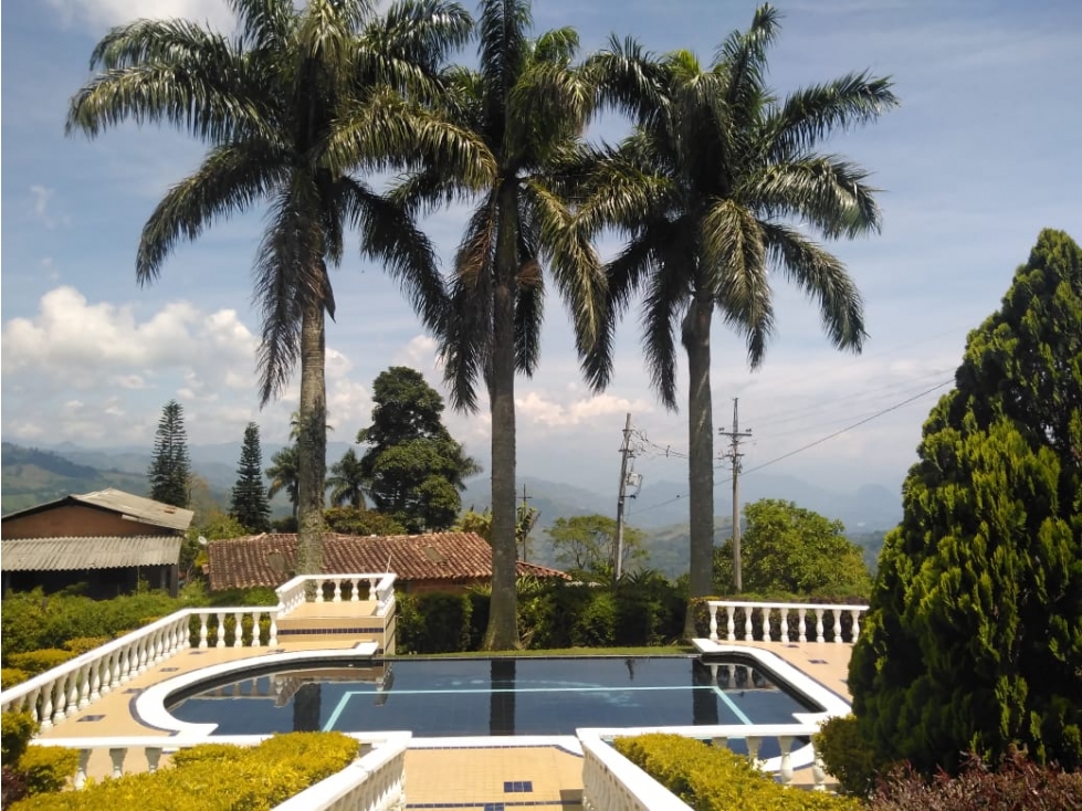VENDO FINCA A SOLO 5 MINUTOS DE FREDONIA VEREDA EL UVITAL - 1