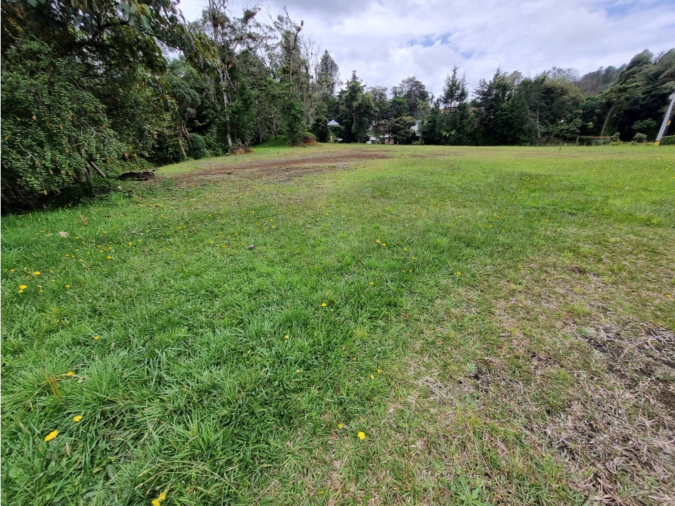 LOTE EN VENTA EN ALTO DE PALMAS VEREDA LA ESPERANZA — foto 5