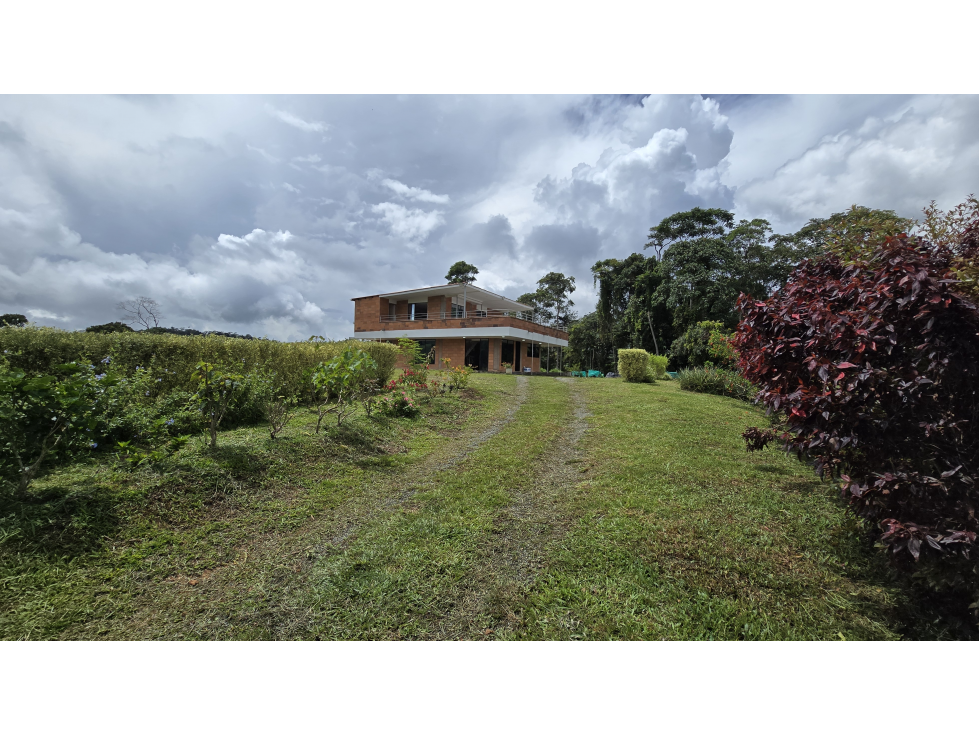 SE VENDE FINCA EN YOLOMBO - 3