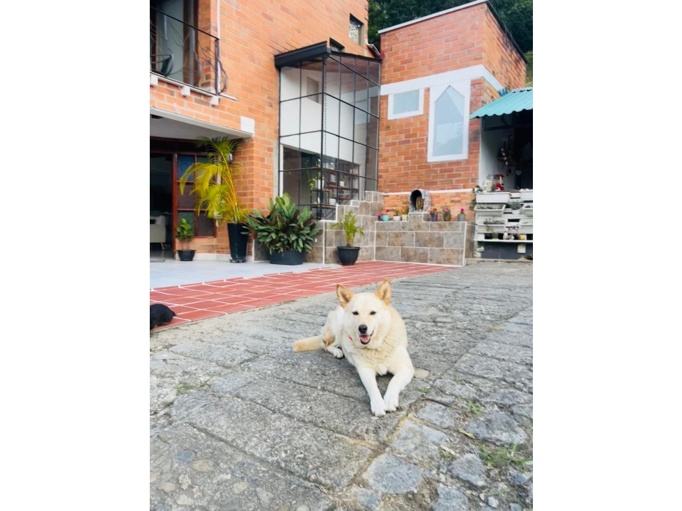 VENTA CASA CAMPESTRE CALDAS ANTIOQUIA — foto 3
