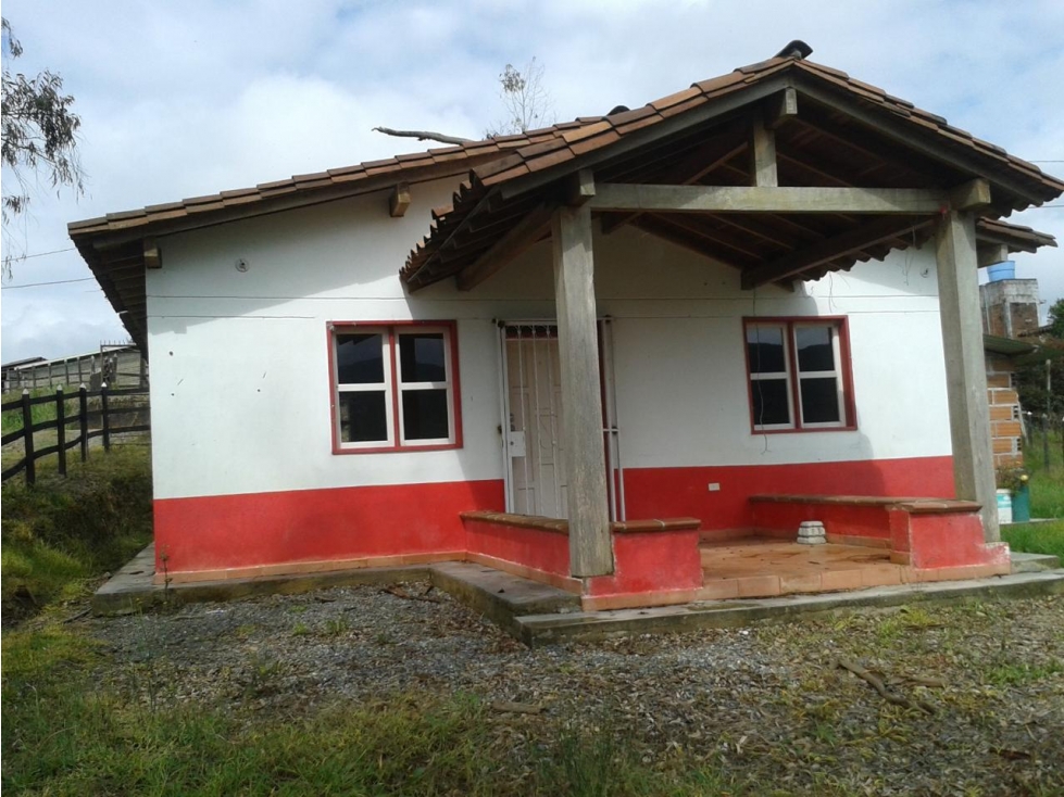 VENDO FINCA MARINILLA ANTIOQUIA 8HA SEMBRADOS DE AGUACATE — foto 5