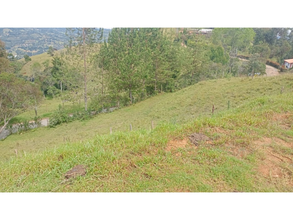 VENDO LOTE EN GUARNE VEREDA LA MEJIA — foto 5