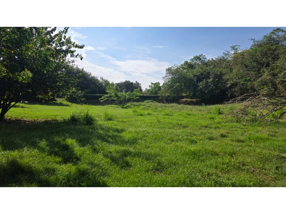 SE VENDE ESPECTACULAR LOTE EN SANTA FE DE ANTIOQUIA — foto 4