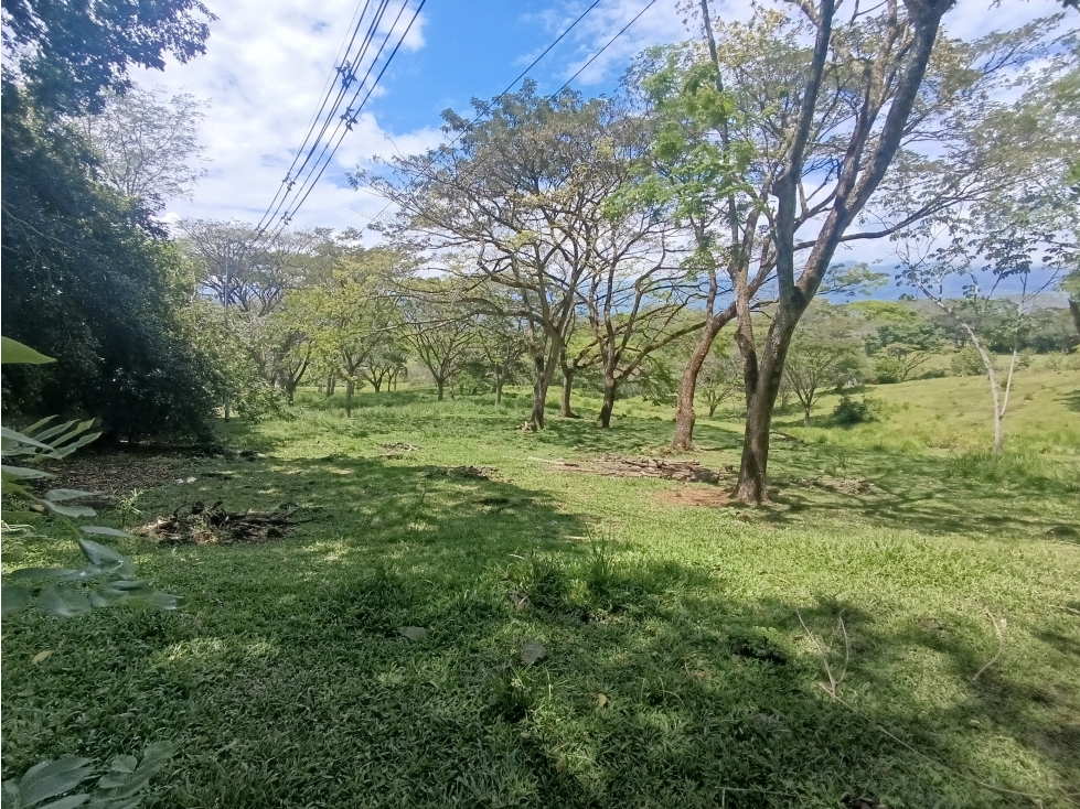 VENDO LOTE SUBURBANO EN LA PINTADA DE 84.912 m² USO DE SUELO MIXTO
