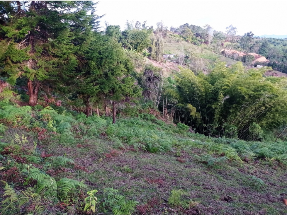 LOTE EN VENTA VEREDA ALTO DE LA COMPAÑÍA, SAN VICENTE FERRER. — foto 5