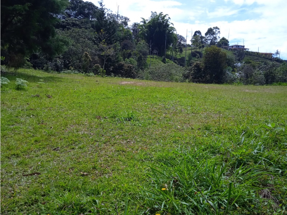 VENDO LOTE EN GUARNE — foto 5