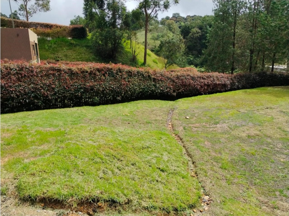 VENDO LOTE CAMPESTRE EN PARCELACION MONTE HOREB SAN FELIX — foto 6