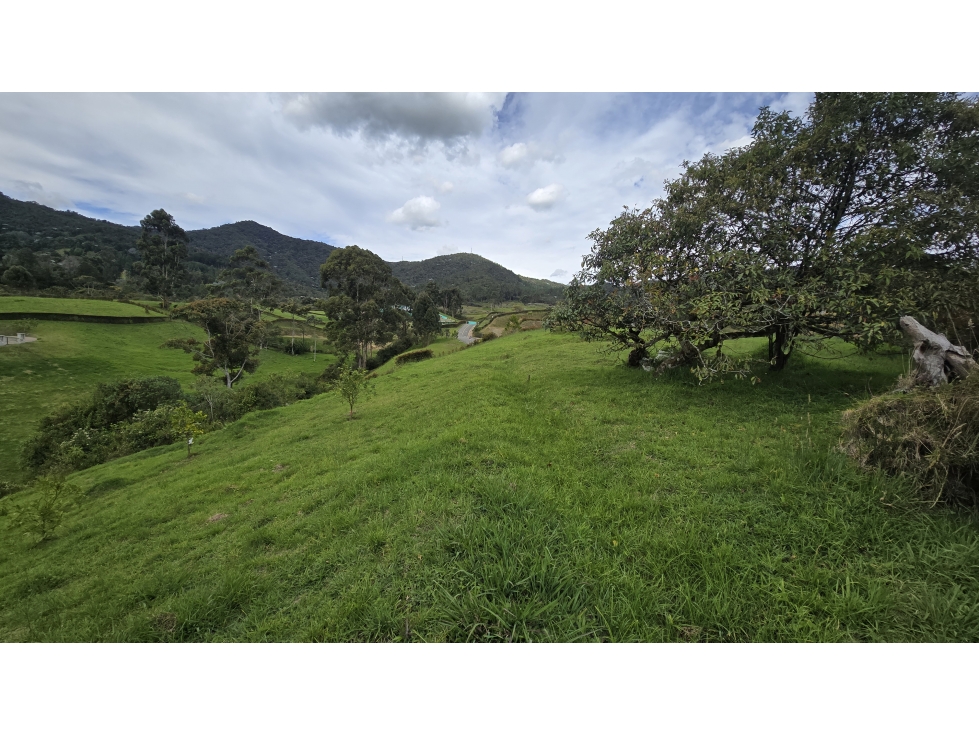 SE VENDE LOTE EN LA CEJA VIA SAN ANTONIO DE PEREIRA — foto 5