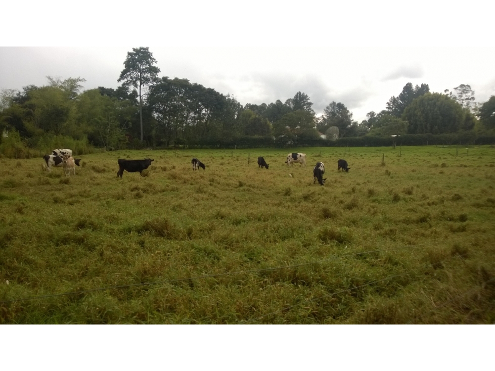 LOTE CAMPESTRE 4.602 m² VEGAS DE GUADALCANAL Llanogrande-Rionegro — foto 4
