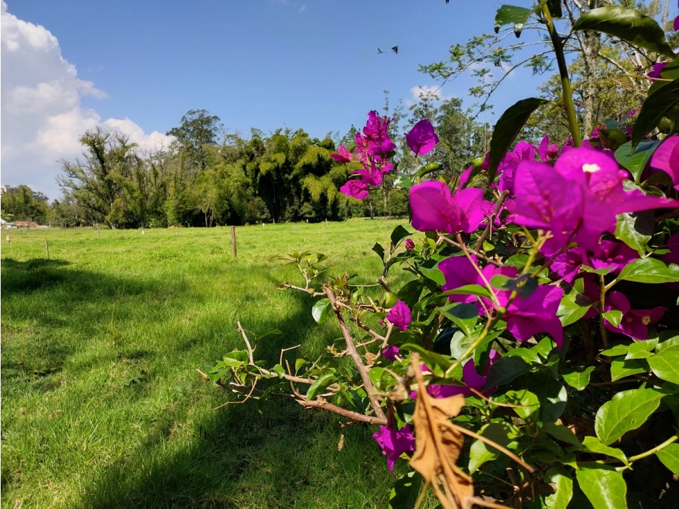LOTE CAMPESTRE 4.855.98 m² VEGAS DE GUADALCANAL Llanogrande-Rionegro — foto 4
