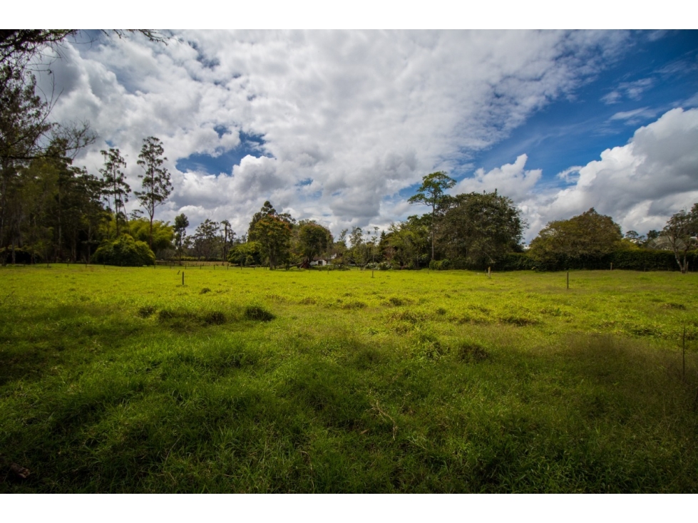 GRAN LOTE CAMPESTRE DE 9.457,98 M² EN LLANOGRANDE RIONEGRO — foto 5
