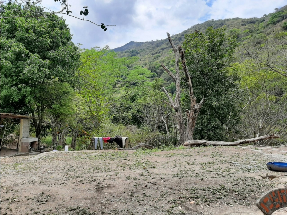 VENTA DE PREDIO EN SAN JERONIMO ANTIOQUIA - 4