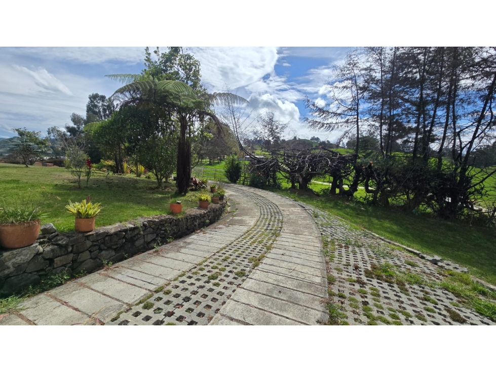 SE VENDE CASA CAMPESTRE EN SAN PEDRO DE LOS MILAGROS — foto 5