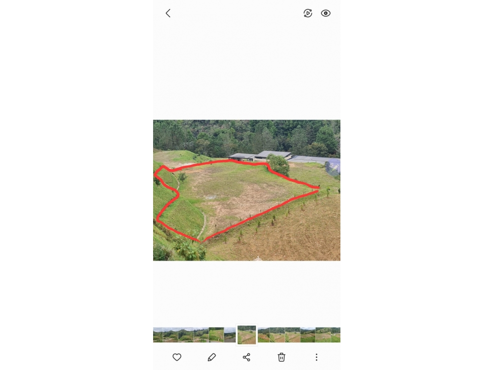 Lote campestre de 3.260 m² en El Retiro, explanado y rodeado de bosque — foto 5
