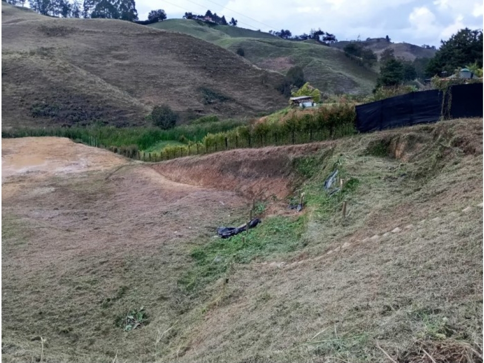 VENTA DE LOTE EN EL CARMEN DE VIBORAL - 5