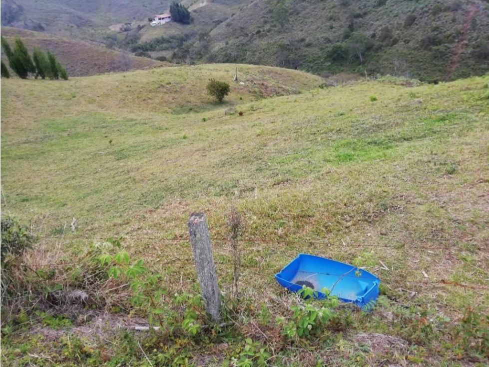 VENDO LOTE PARA PARCELAR EN VEREDA HOJAS ANCHAS DE GUARNE ANTIOQUIA — foto 6