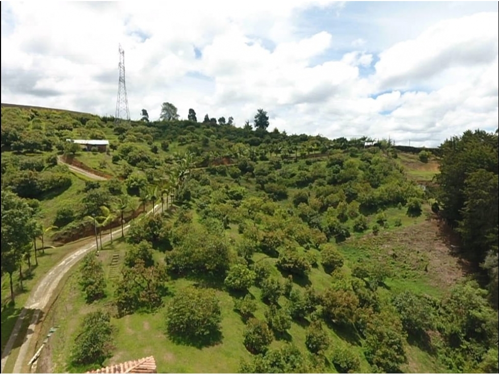 VENDO FINCA DE 62.700 m² PARA PARCELAR SAN VICENTE FERRER ANTIOQUIA - 6
