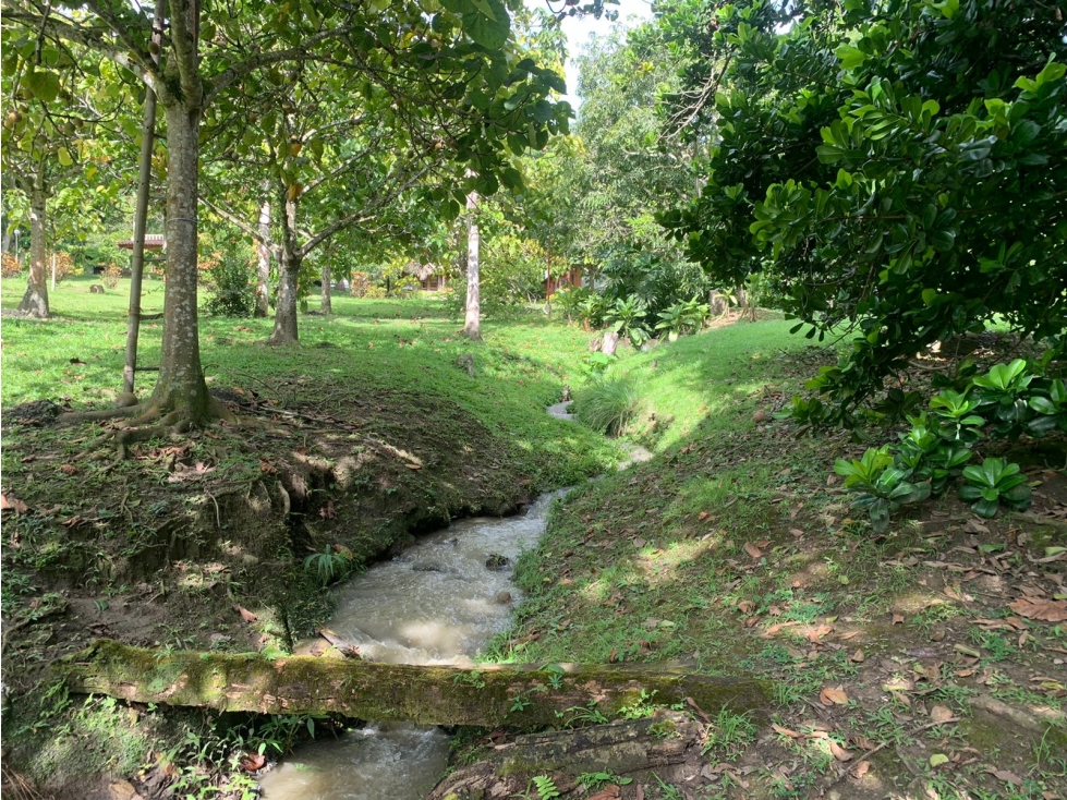 Lote independiente en venta en Sopetrán. Vereda La Miranda. — foto 6
