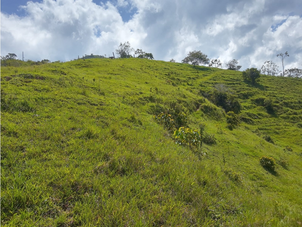 VENTA DE LOTE CON CASA EN BARBOSA. - 6