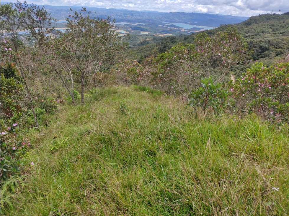 VENDO LOTE EN GUATAPE PARA PROYECTO HOTELERO O CASAS CAMPESTRES — foto 6