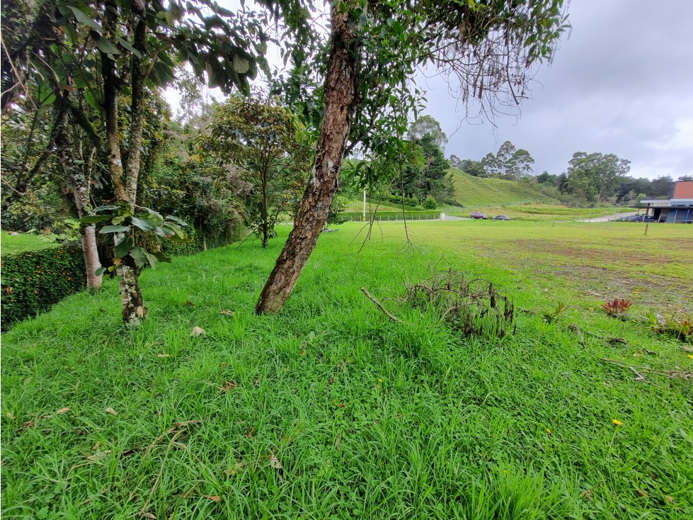 LOTE EN VENTA EN ALTO DE PALMAS VEREDA LA ESPERANZA — foto 6