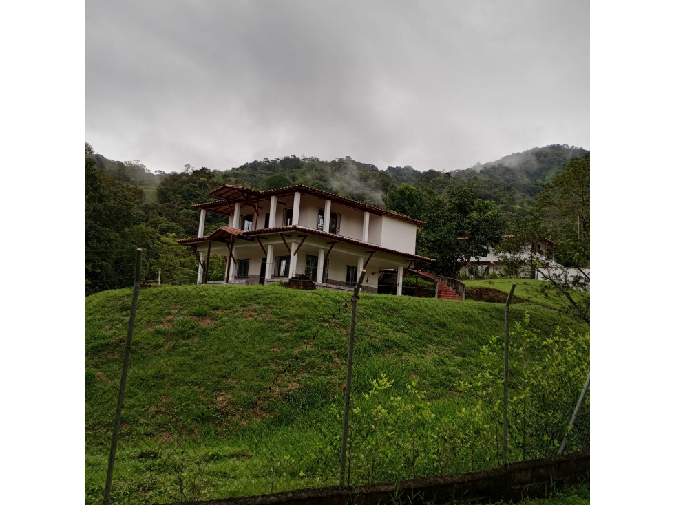HERMOSA FINCA EN SAN RAFAEL - 6