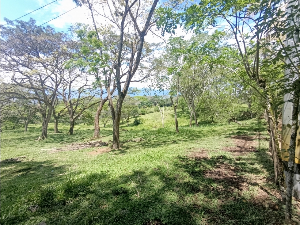 VENDO LOTE SUBURBANO EN LA PINTADA DE 84.912 m² USO DE SUELO MIXTO — foto 3