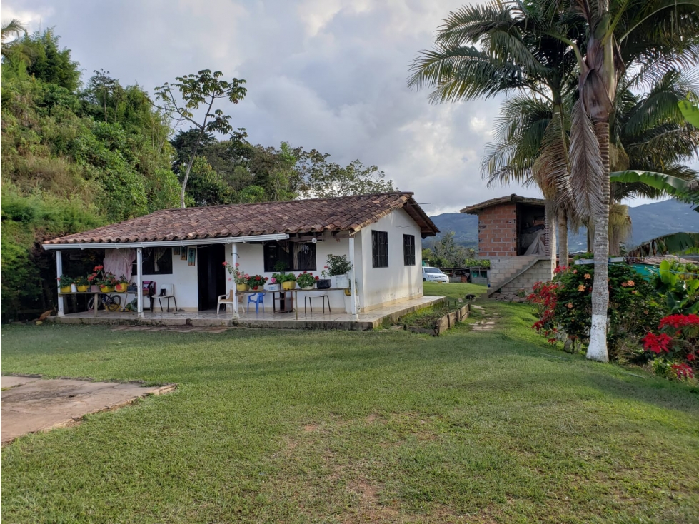 VENDO LOTE CON VISTA A PIEDRA DEL PEÑOL Y CASA EN GUATAPÉ DE 17.426 m² — foto 6